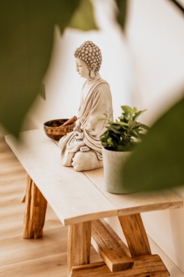 Rent a Yoga room in Mallorca